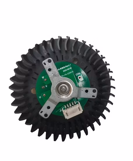 Motore per asciugacapelli DC senza spazzole ad alta efficienza da 230 V